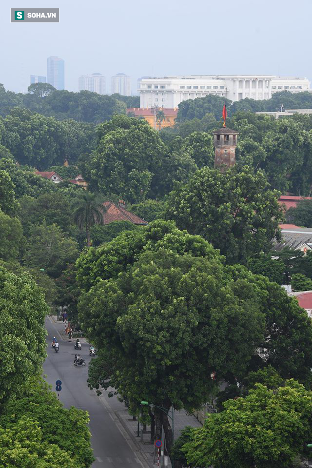 [TRỰC TIẾP] Khắp nơi treo cờ rủ Quốc tang Chủ tịch nước Trần Đại Quang - Ảnh 28.