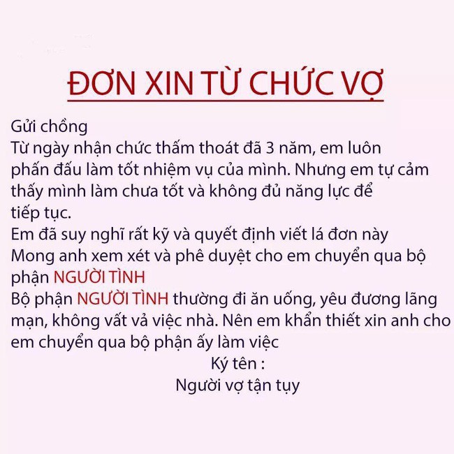 Chị em rộ trào lưu nhắn tin từ chức vợ để chuyển sang bộ phận người tình và đây là phản ứng của các anh chồng - Ảnh 1.