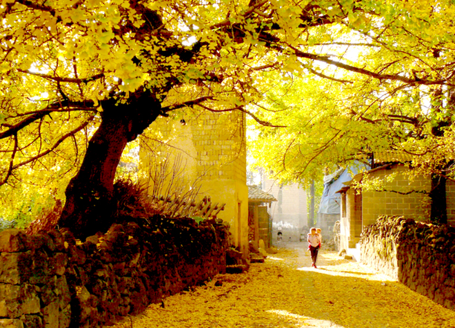 Những ngôi làng cổ cảnh sắc đẹp mê hồn nhất định phải ghé thăm vào mùa thu ở Trung Quốc - Ảnh 24.