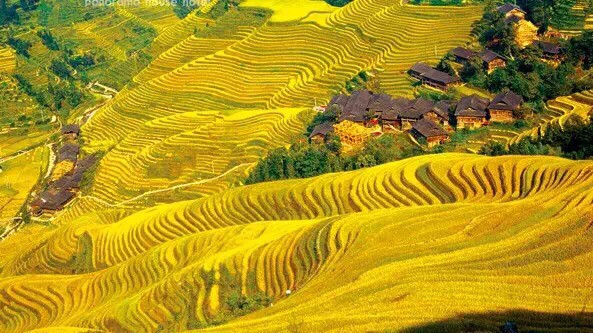 Những ngôi làng cổ cảnh sắc đẹp mê hồn nhất định phải ghé thăm vào mùa thu ở Trung Quốc - Ảnh 6.