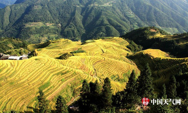 Những ngôi làng cổ cảnh sắc đẹp mê hồn nhất định phải ghé thăm vào mùa thu ở Trung Quốc - Ảnh 7.