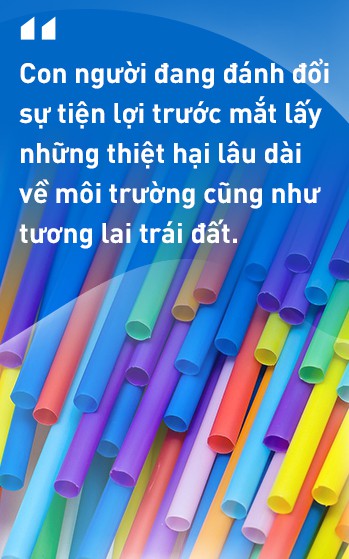 Thảm hoạ môi trường từ chiếc ống hút nhựa và những bao bì vị vứt đi - Ảnh 6.