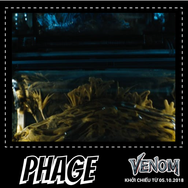 Điểm mặt chỉ tên 4 đồng loại đáng gờm của Venom sẽ xuất hiện trong phim - Ảnh 5.