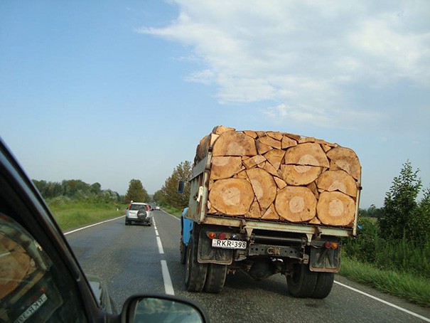 Khi bạn có một nhân viên quá cầu toàn thì hãy sẵn sàng để đón nhận các tác phẩm nghệ thuật mãn nhãn đến thế này đây - Ảnh 1.