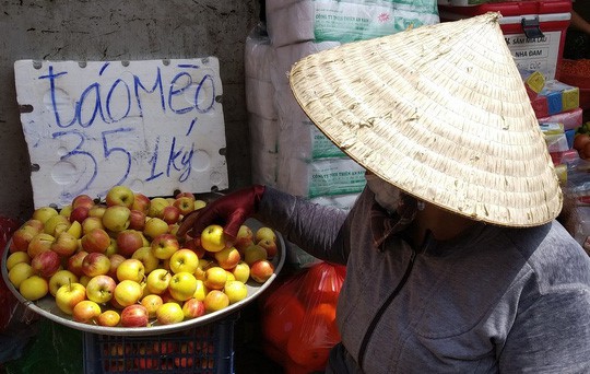 Táo mini Trung Quốc đội lốt “táo mèo” Hà Giang - Ảnh 1.