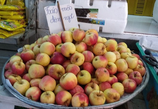 Táo mini Trung Quốc đội lốt “táo mèo” Hà Giang - Ảnh 2.