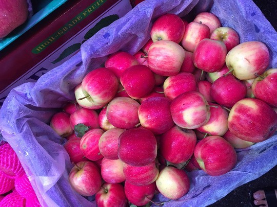 Táo mini Trung Quốc đội lốt “táo mèo” Hà Giang - Ảnh 3.