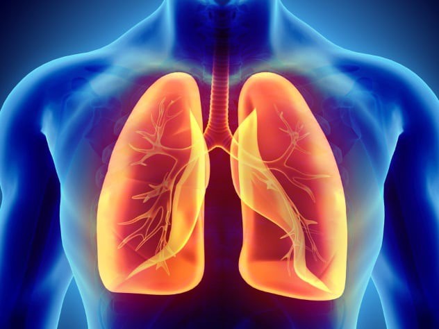 9 sự thật rùng rợn về trấn nước - hình thức tra tấn dã man đến tàn độc - Ảnh 8.