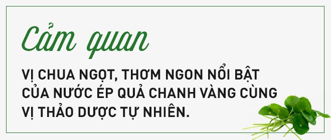 Giải mã loại cây dại được đổi đời thành rau organic trong trang trại đẳng cấp quốc tế - Ảnh 7.