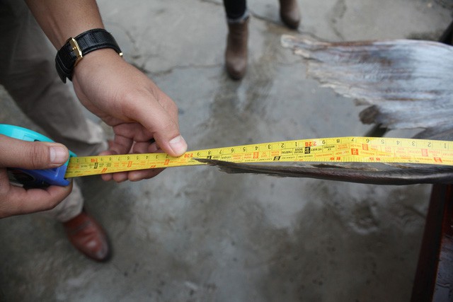 Thực hư chuyện đại gia Hà Nội mua cá khổng lồ giá trăm triệu về ăn Tết - Ảnh 4.