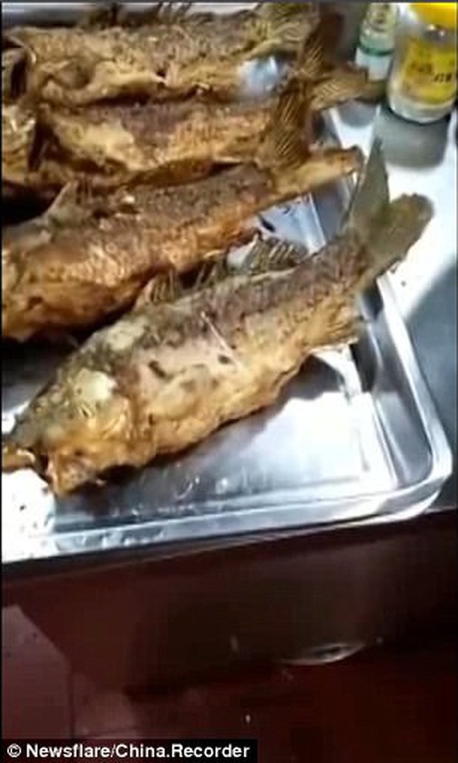 Video: Cá chặt đầu rồi còn quẫy đã sợ, đây cá rán vàng ươm vẫn giãy đành đạch trên đĩa - Ảnh 3.
