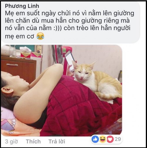 Khi bố mẹ nói ‘Đem chó mèo vứt đi, không nuôi gì cả’ và cái kết ‘lay động’ cư dân mạng - Ảnh 2.