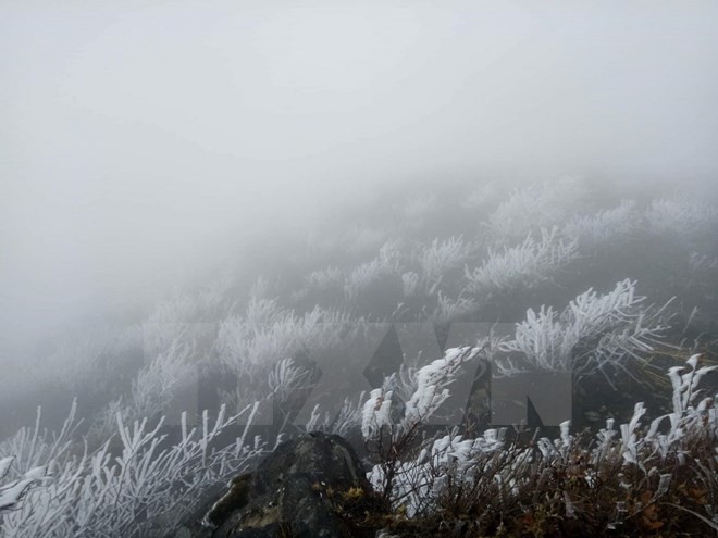 Băng giá phủ trắng núi đồi ở Sa Pa, Bát Xát, nhiệt độ giảm sâu - Ảnh 1.