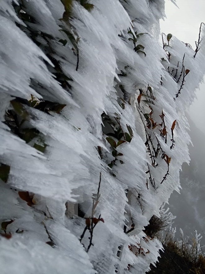 Băng giá phủ trắng núi đồi ở Sa Pa, Bát Xát, nhiệt độ giảm sâu - Ảnh 2.