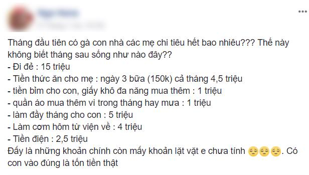 Sinh con được 1 tháng, mẹ bỉm sữa tiêu hết hơn 30 triệu - Ảnh 1.