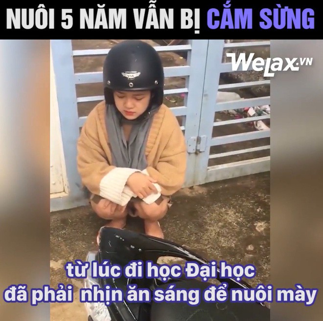 Thanh niên kể nuôi bạn gái 5 năm vẫn bị cắm sừng, cô gái lên tiếng: Mình không được đi học ĐH và bị đánh - Ảnh 2.