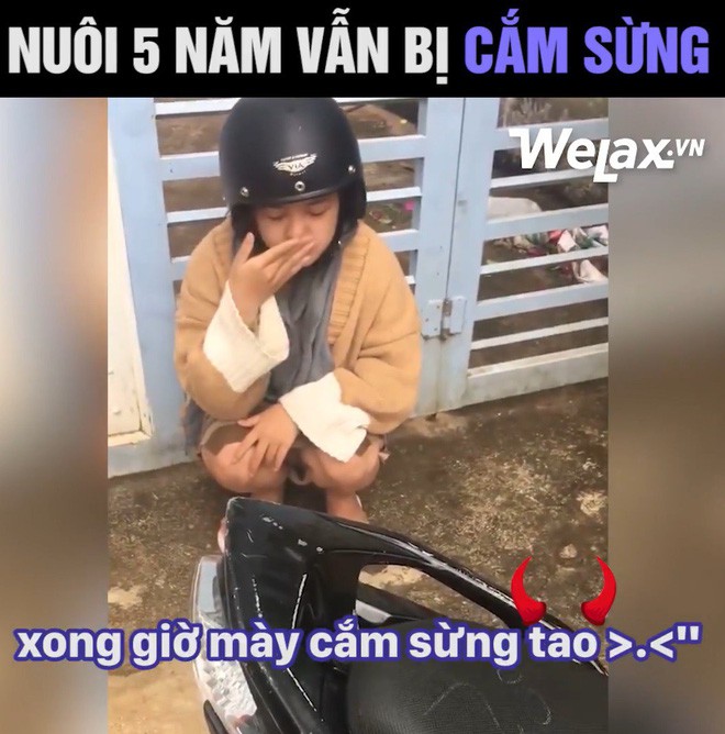 Chi tiết hot nhất vụ thanh niên bị cắm sừng: 31/12 chia tay, 13/1 đã có bạn trai mới thông cảm cho mình - Ảnh 3.