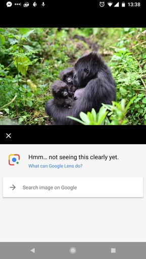 Sau hai năm sửa sai, trí tuệ nhân tạo Google vẫn nhận nhầm người Mỹ gốc Phi với khỉ đột - Ảnh 7.