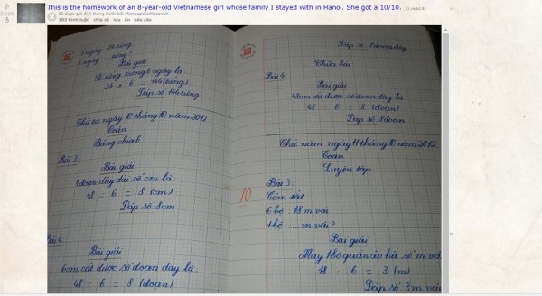 Chữ viết tay siêu đẹp của bé gái 8 tuổi người Việt gây xôn xao trên Reddit - Ảnh 1.