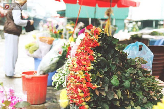 Người dân làng đào Nhật Tân: Từ giờ đến Tết mà rét thế này thì đào không nở hoa kịp mất! - Ảnh 14.