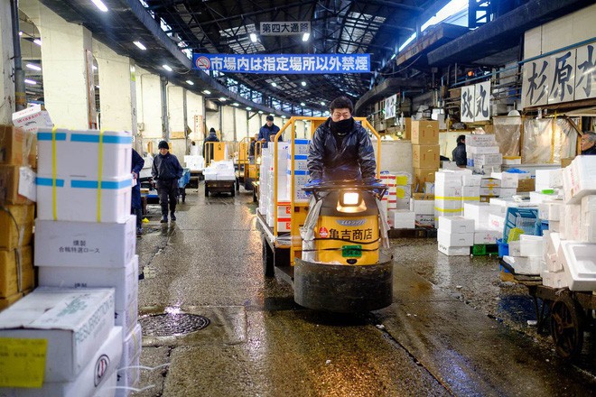 Trong chợ cá lớn nhất thế giới tại Nhật Bản: Mỗi con cá ngừ được bán với giá bằng vài ngôi nhà Nhật Bản - Ảnh 19.