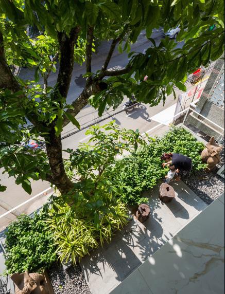  Nhà phố ở Nha Trang gây sốt với thiết kế xanh mướt nhờ những miệt vườn nhỏ  - Ảnh 3.