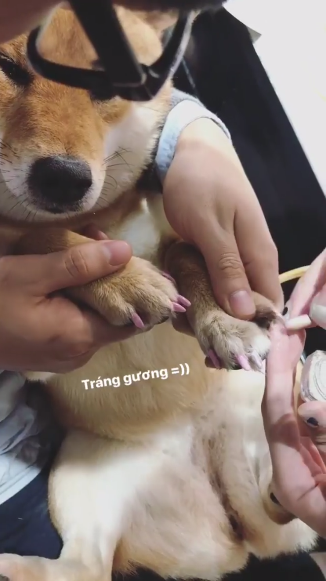 Em cún đến tiệm làm nail, cắt dũa xong còn chơi hẳn tráng gương để giữ móng - Ảnh 3.