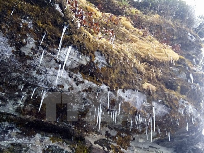 Băng giá phủ trắng núi đồi ở Sa Pa, Bát Xát, nhiệt độ giảm sâu - Ảnh 4.