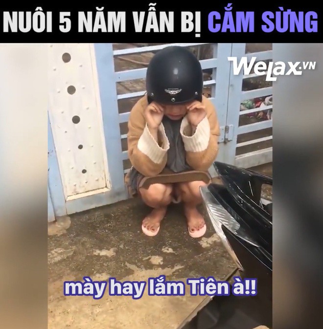 Thanh niên kể nuôi bạn gái 5 năm vẫn bị cắm sừng, cô gái lên tiếng: Mình không được đi học ĐH và bị đánh - Ảnh 4.