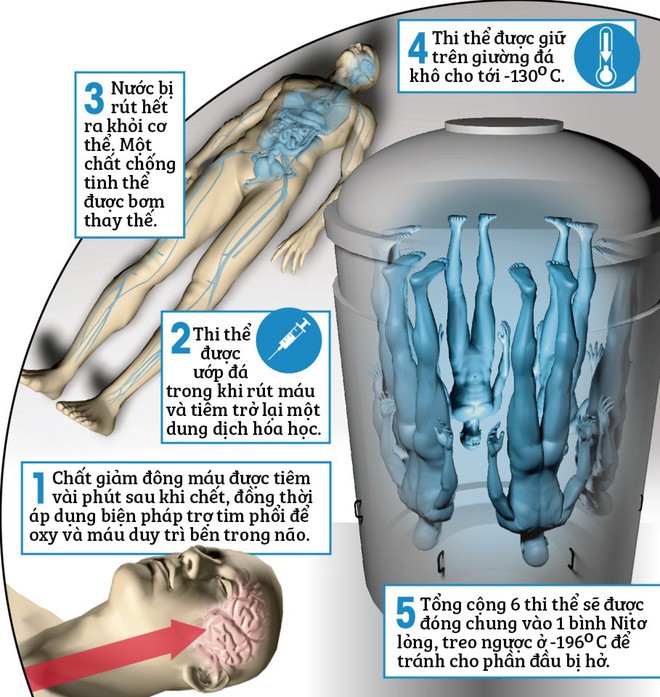 Trong vòng 10 năm tới, sẽ có một thi thể người đông lạnh đầu tiên được hồi sinh? - Ảnh 4.