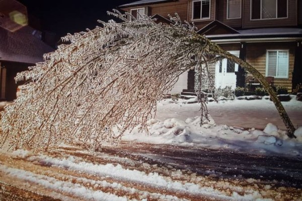 Canada lạnh giá tới mức bát mỳ đóng băng, chim cánh cụt cũng ‘chào thua’ - Ảnh 5.