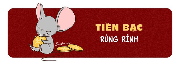 Tử vi tuổi Tý năm 2019: Túi tiền rủng rỉnh, dân FA có đôi có cặp - Ảnh 1.