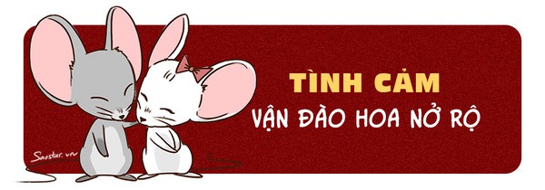 Tử vi tuổi Tý năm 2019: Túi tiền rủng rỉnh, dân FA có đôi có cặp - Ảnh 4.