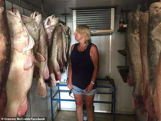 Hé lộ thủ phạm giết hại 1 triệu con cá ở Australia, có con 40kg cũng không sống nổi - Ảnh 3.
