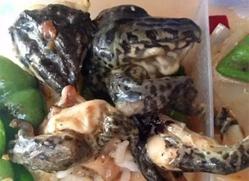 Dưa hấu xào chuối, da ếch... những món ăn kinh dị nhất ở canteen các trường ĐH Trung Quốc khiến sinh viên khiếp đảm - Ảnh 8.