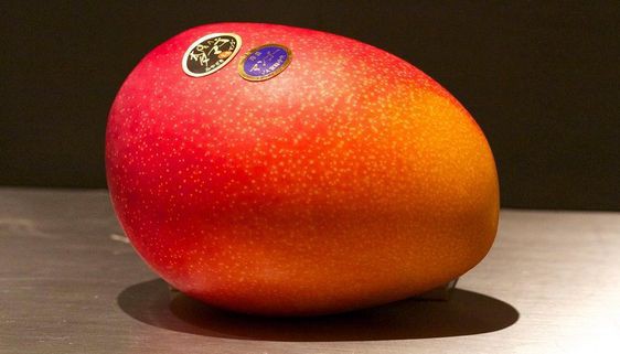 Giờ đến trái cây cũng làm hàng hiệu, một quả xoài có giá hơn 6 triệu và có một nơi bán toàn hàng hiệu như vậy - Ảnh 1.