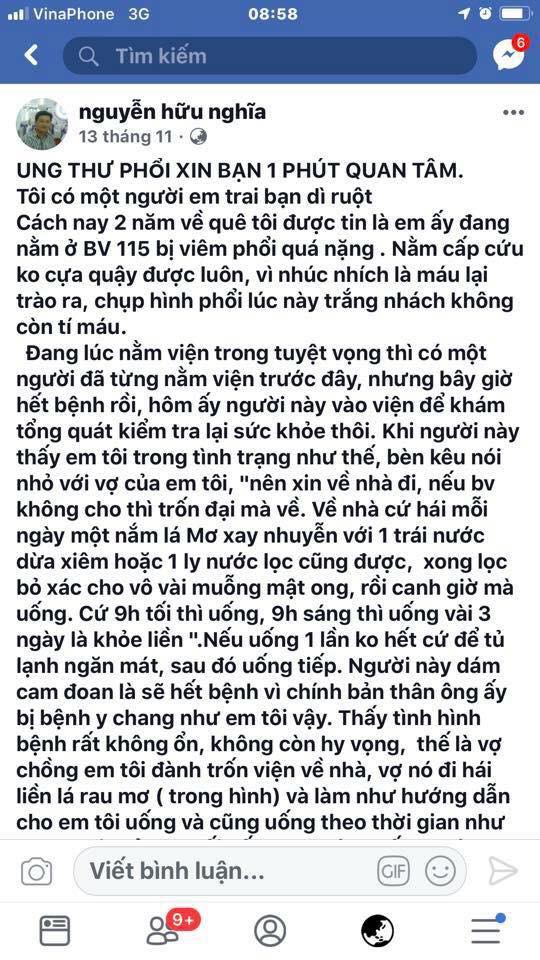 Chuyên gia nói gì về bài thuốc lá mơ lông chữa khỏi viêm phổi đang lây truyền trên MXH  - Ảnh 1.