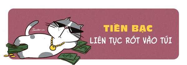 Tử vi tuổi Mão năm 2019: Người độc thân chớ mơ mộng nhiều, ế vẫn hoàn ế thôi! - Ảnh 1.