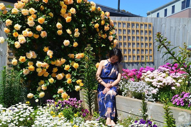 Khu vườn trăm hoa đua nở rực rỡ như chốn thiên đường của người phụ nữ Việt ở Úc - Ảnh 1.