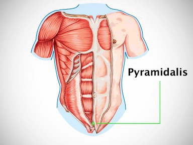 9 bộ phận cơ thể giờ đây con người không cần dùng đến nữa, đặc biệt nhất là cái cuối cùng - Ảnh 6.