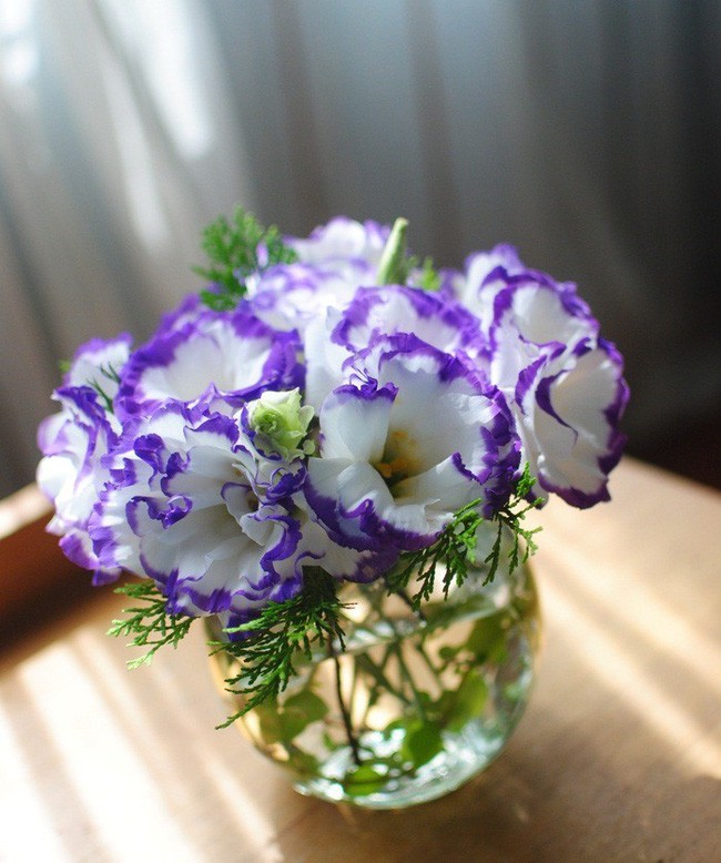 Những loại hoa vừa làm đẹp nhà vừa mang may mắn, tài lộc cho năm mới - Ảnh 11.