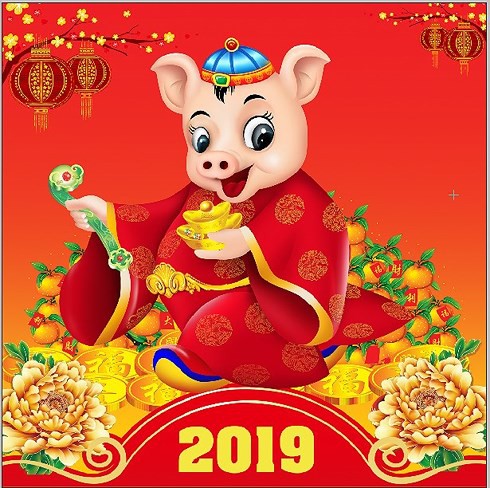 Năm 2019 Kỷ Hợi có phải năm Heo Vàng không? - Ảnh 1.