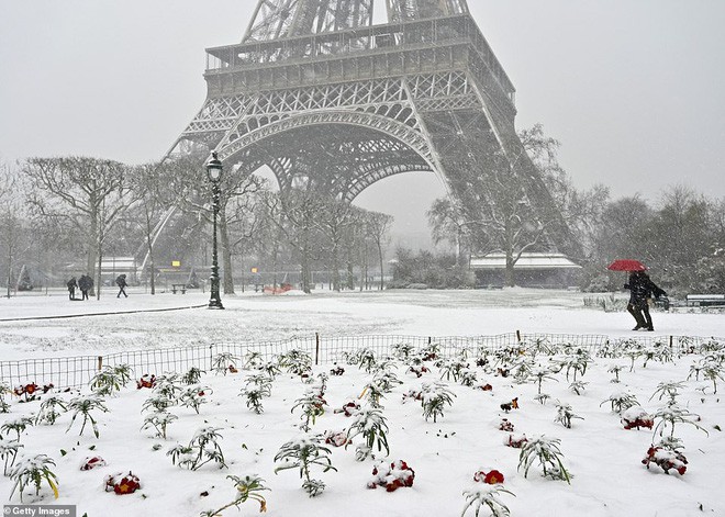 Paris đón tuyết đầu mùa sau nhiều tuần căng thẳng: Kẻ lãng mạn xuống phố, người cô đơn chống chọi giá rét - Ảnh 5.