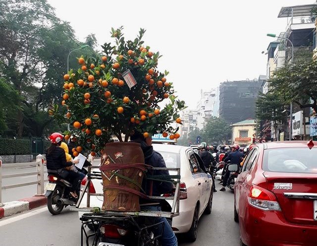 Nhận chở đào, quất không ngớt, xe ôm kiếm tiền triệu mỗi ngày - Ảnh 1.