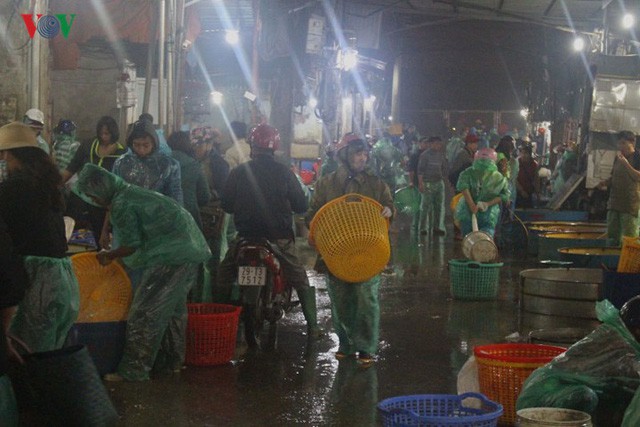 Chợ cá lớn nhất Hà Nội nhộn nhịp trước lễ ông Công, ông Táo - Ảnh 2.