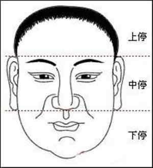 3 đặc điểm trên khuôn mặt thể hiện một người đàn ông có tương lai rạng rỡ - Ảnh 3.