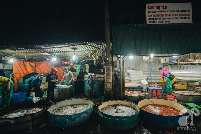 Dậy sớm đi chợ cá lớn nhất Hà Nội - trải nghiệm mệt nhưng vui rất đáng thử ngày ông Táo về trời - Ảnh 4.