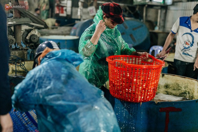 Ảnh, clip: Chợ cá lớn nhất Hà Nội nhộn nhịp từ tờ mờ sáng ngày tiễn ông Công ông Táo về trời - Ảnh 6.