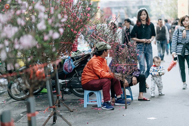 Rộn ràng không khí Tết tại chợ hoa Hàng Lược - phiên chợ truyền thống lâu đời nhất ở Hà Nội - Ảnh 12.