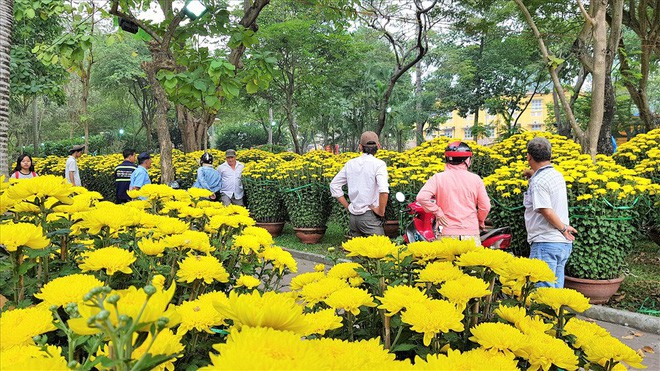 Mách bạn chọn hoa ngày Tết chuẩn, tươi lâu, màu bền đẹp - Ảnh 1.